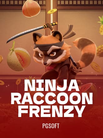 Ninja Raccoon Frenzy