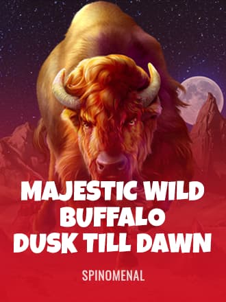 Majestic Wild Buffalo - Dusk Till Dawn