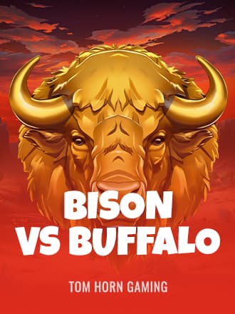 Bison Vs Buffalo